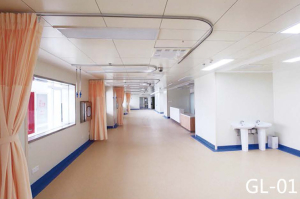 Infusion Stand & Curtain Tracks